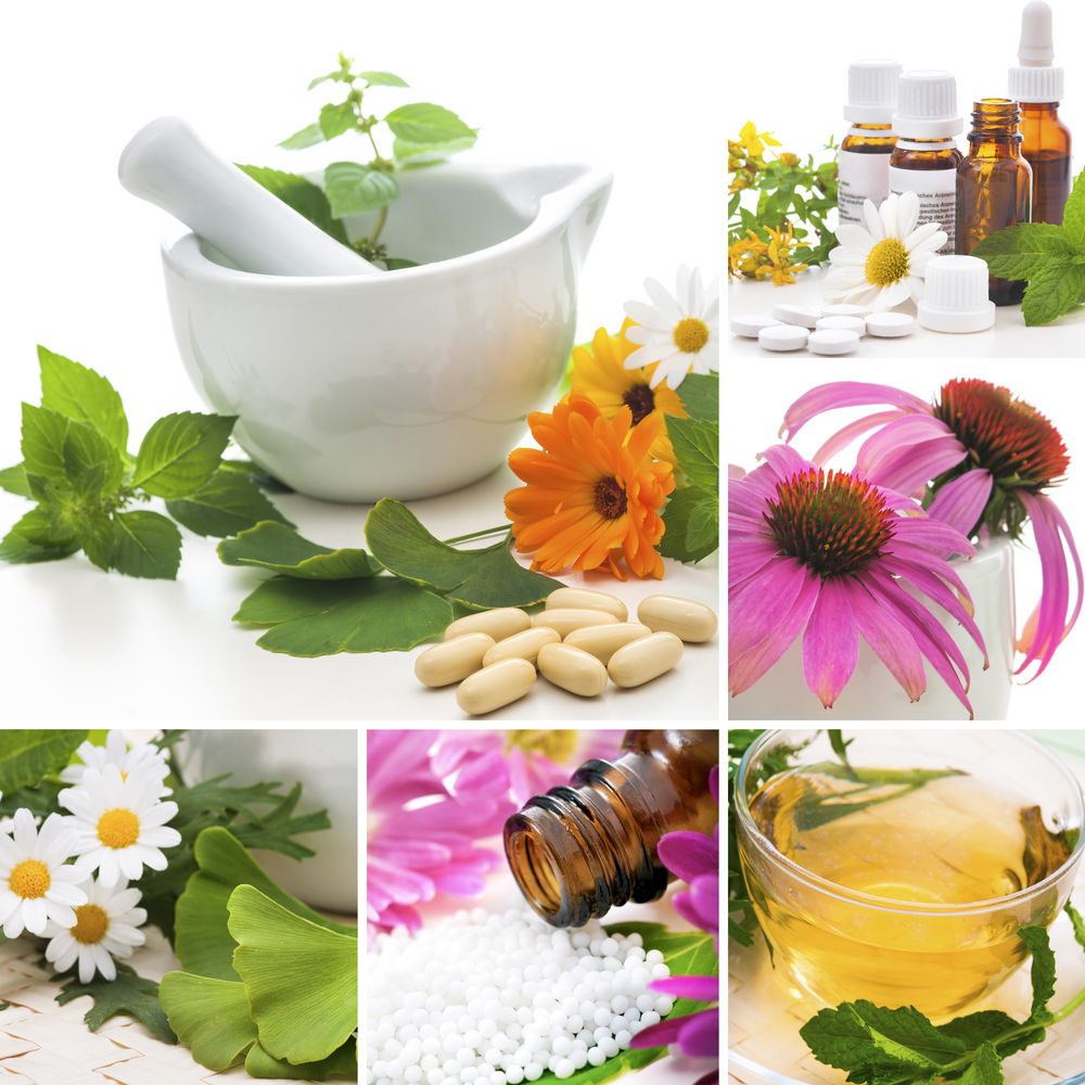 Phytotherapie 9