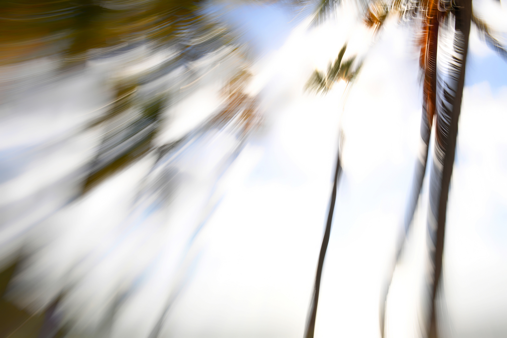 Def d8c 1299 dxo copie