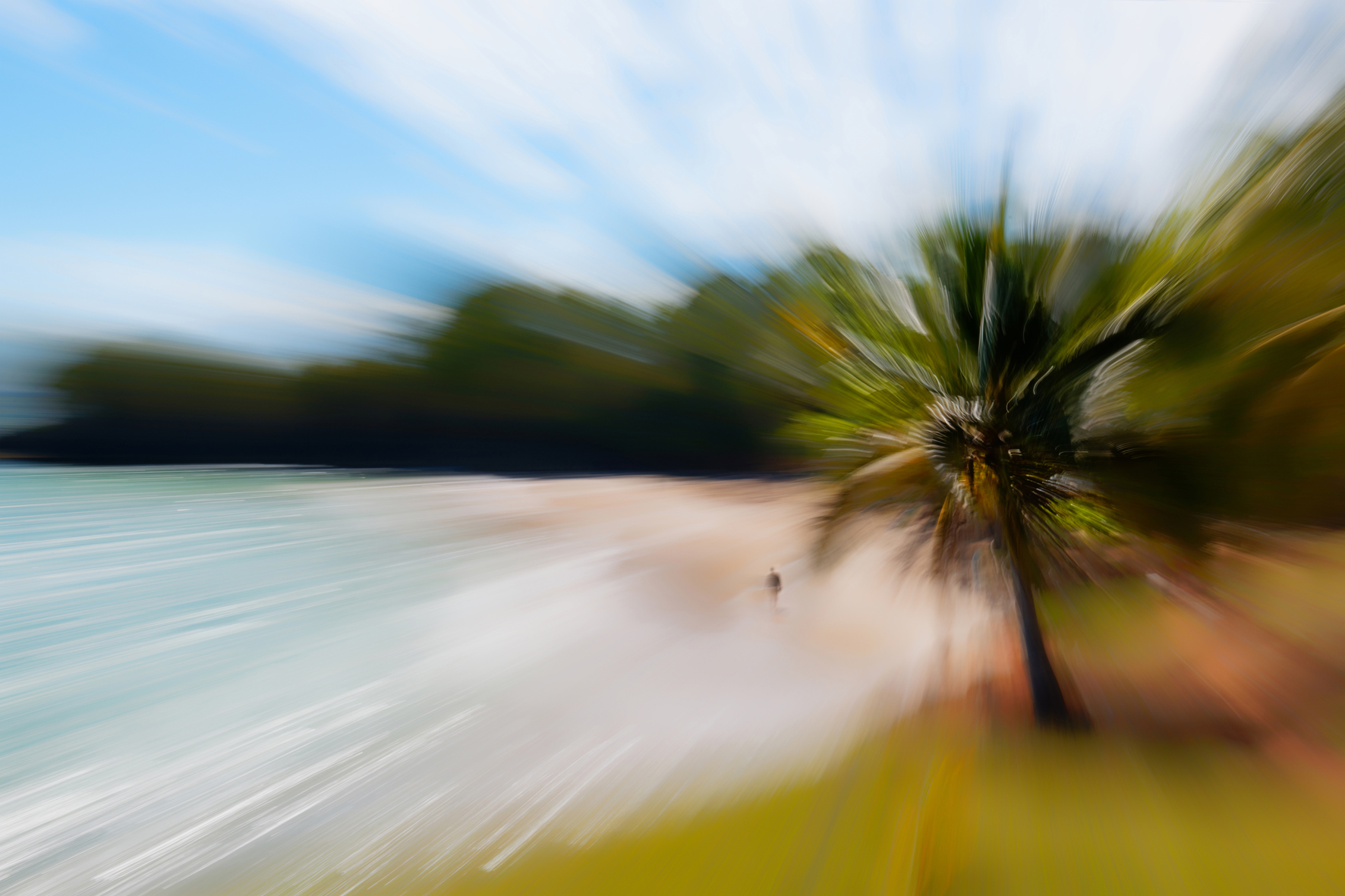 Def d8c 1392 dxo 2 copie3