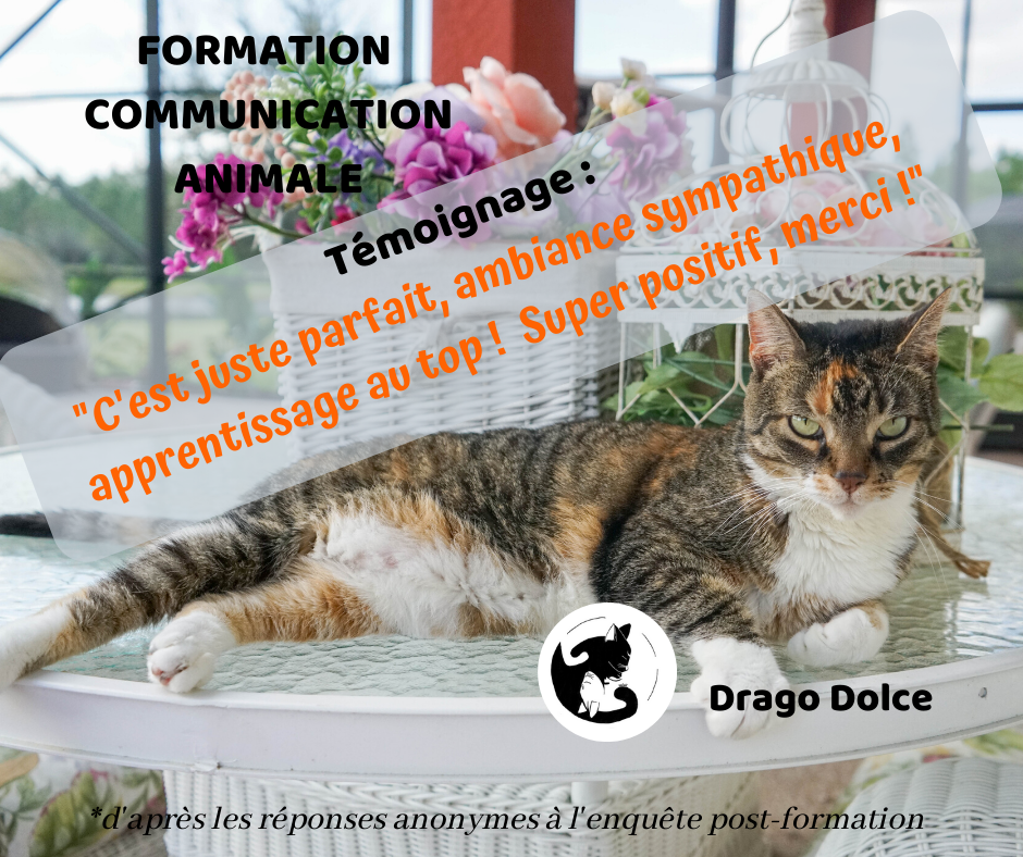 Temoignage formation