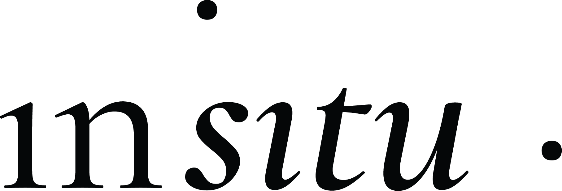 Insitu Plan de travail 1