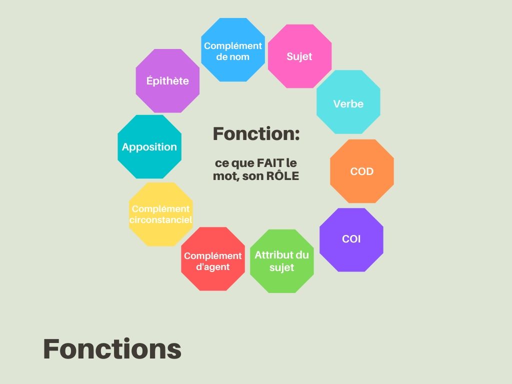 Fonctions grammatiales