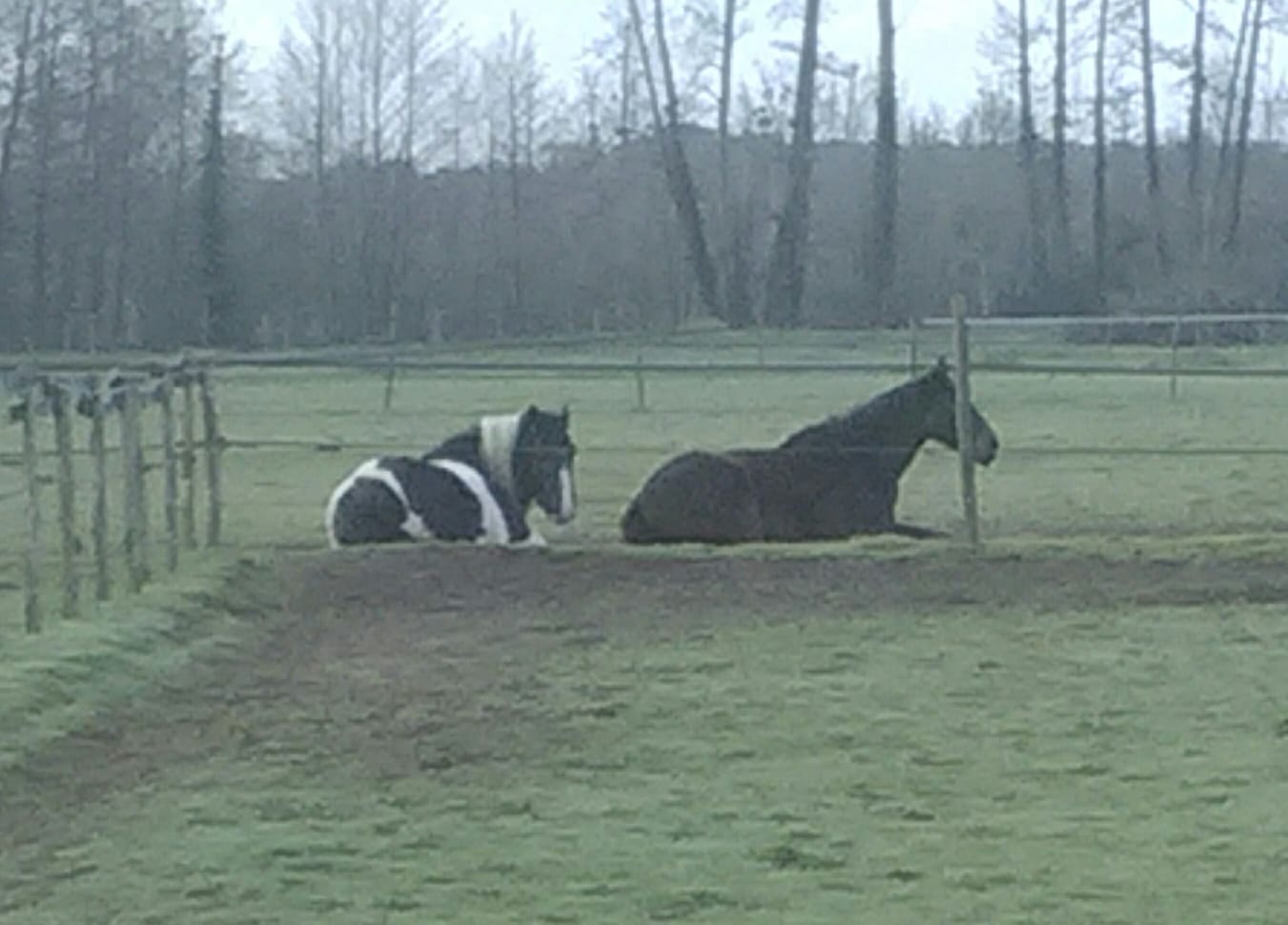 Img 20200315 wa0000 dimanche hiver 8 heure