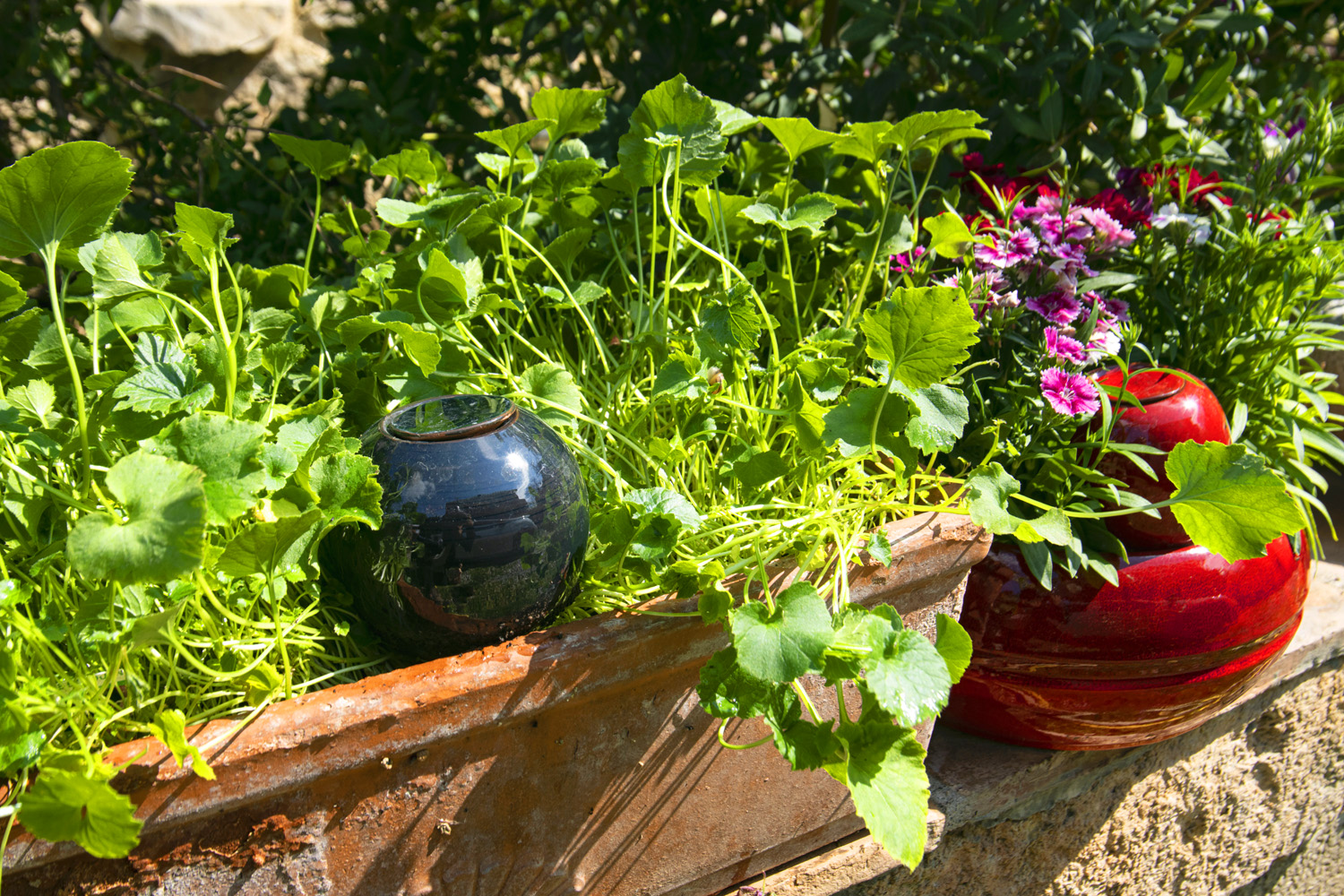 Oyas jardiniere 2 modifie