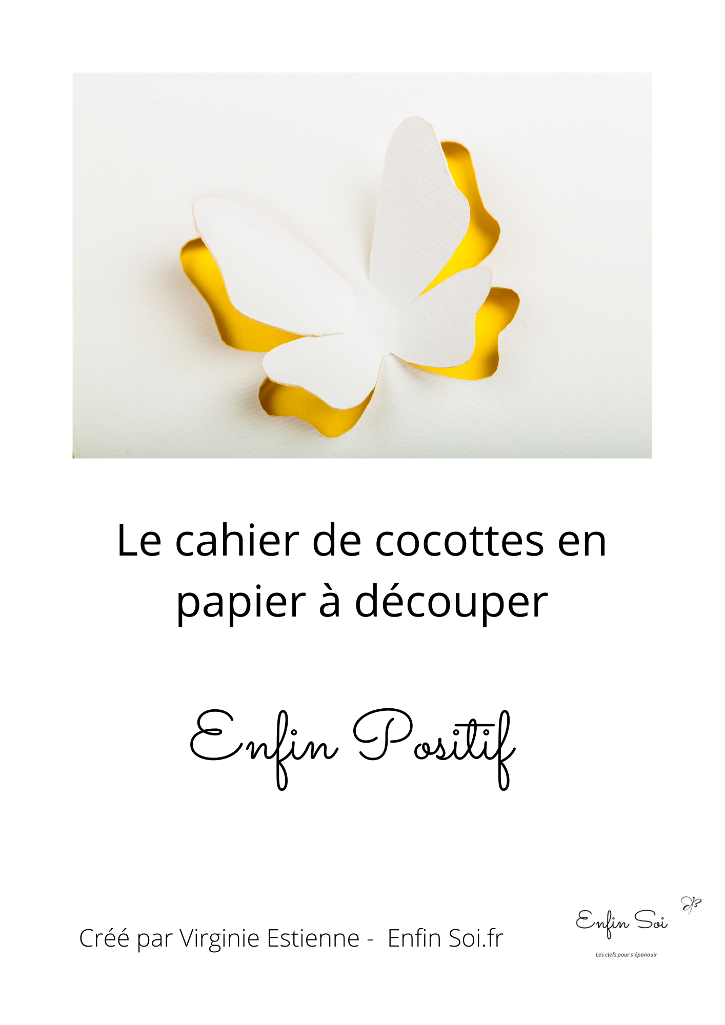 Couverture Enfin Positif cahier de cocottes 2