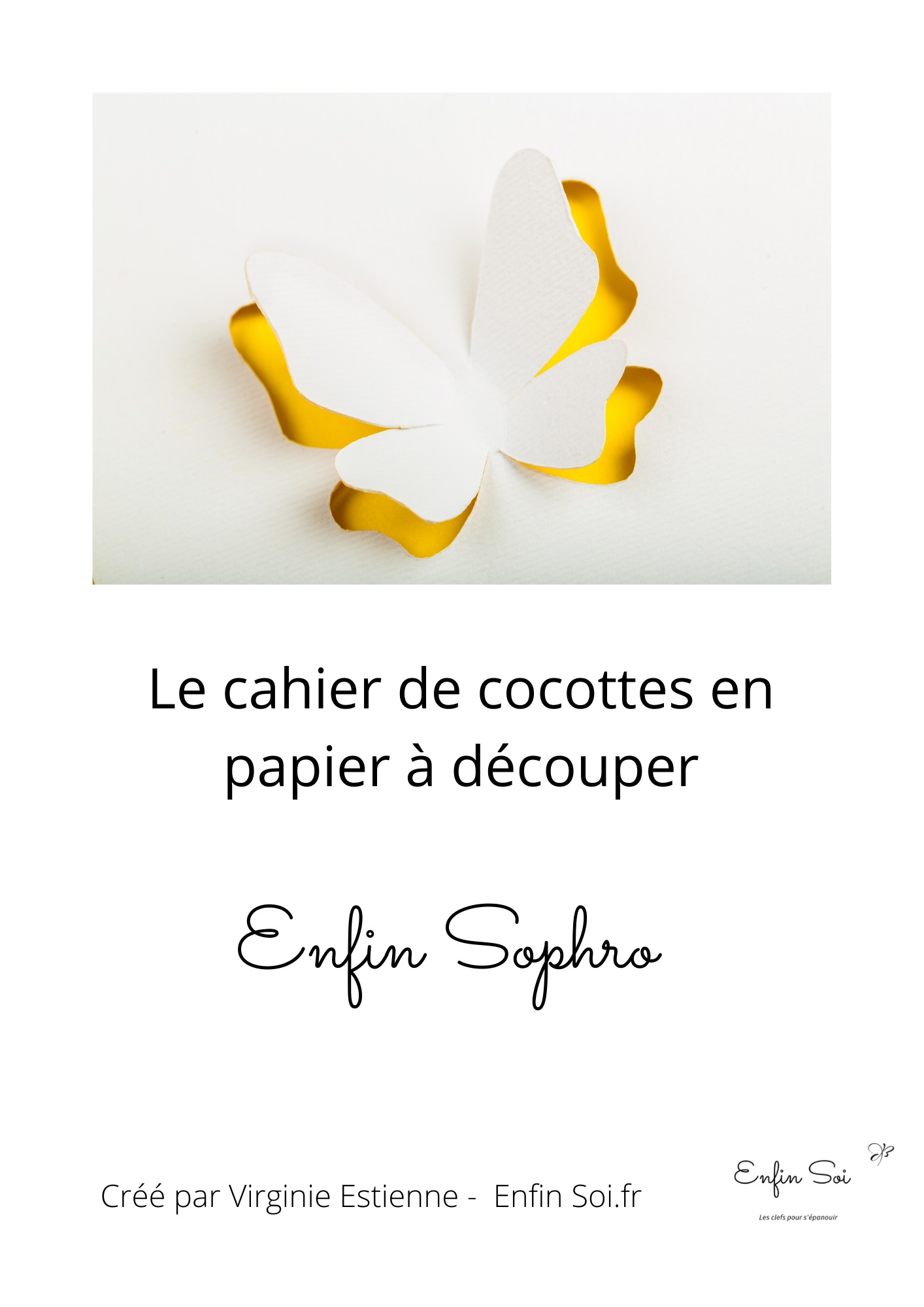 Couverture Enfin Sophro cahier de cocottes 2