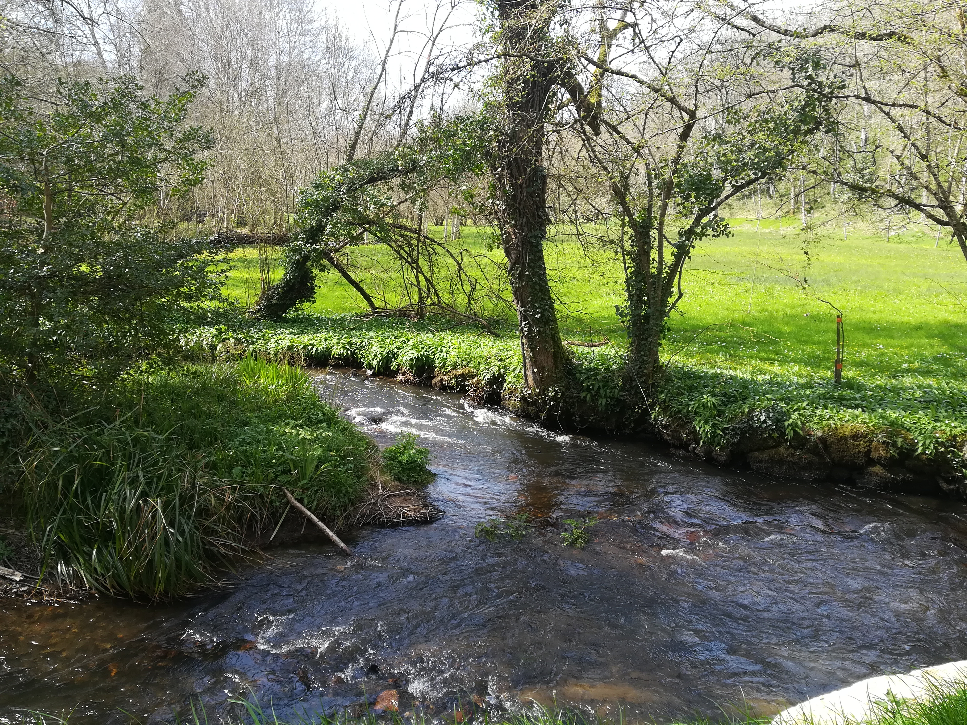 Img 20200405 151151
