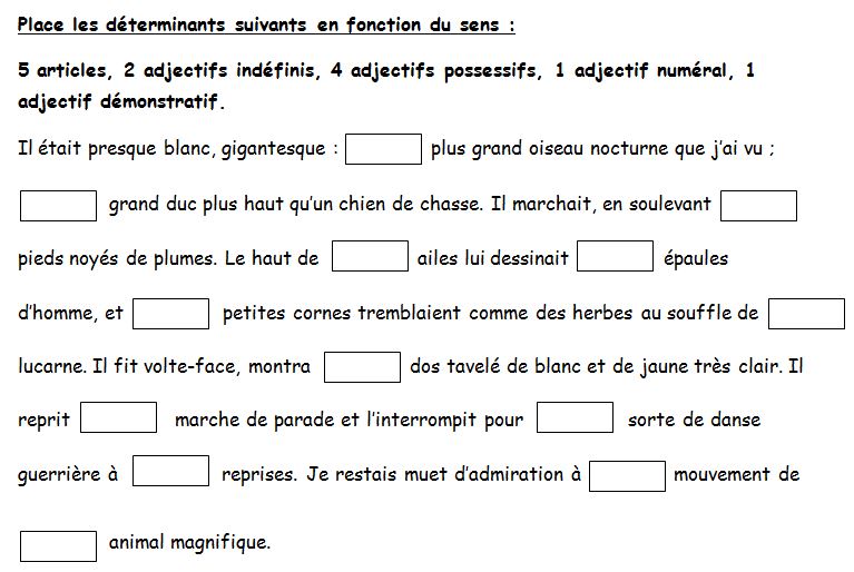 Grammaire