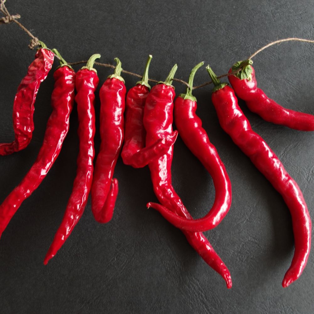 2576 piment de cayenne 4