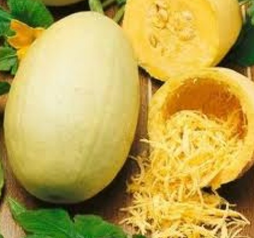 Courge spaghetti