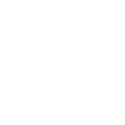 Securite