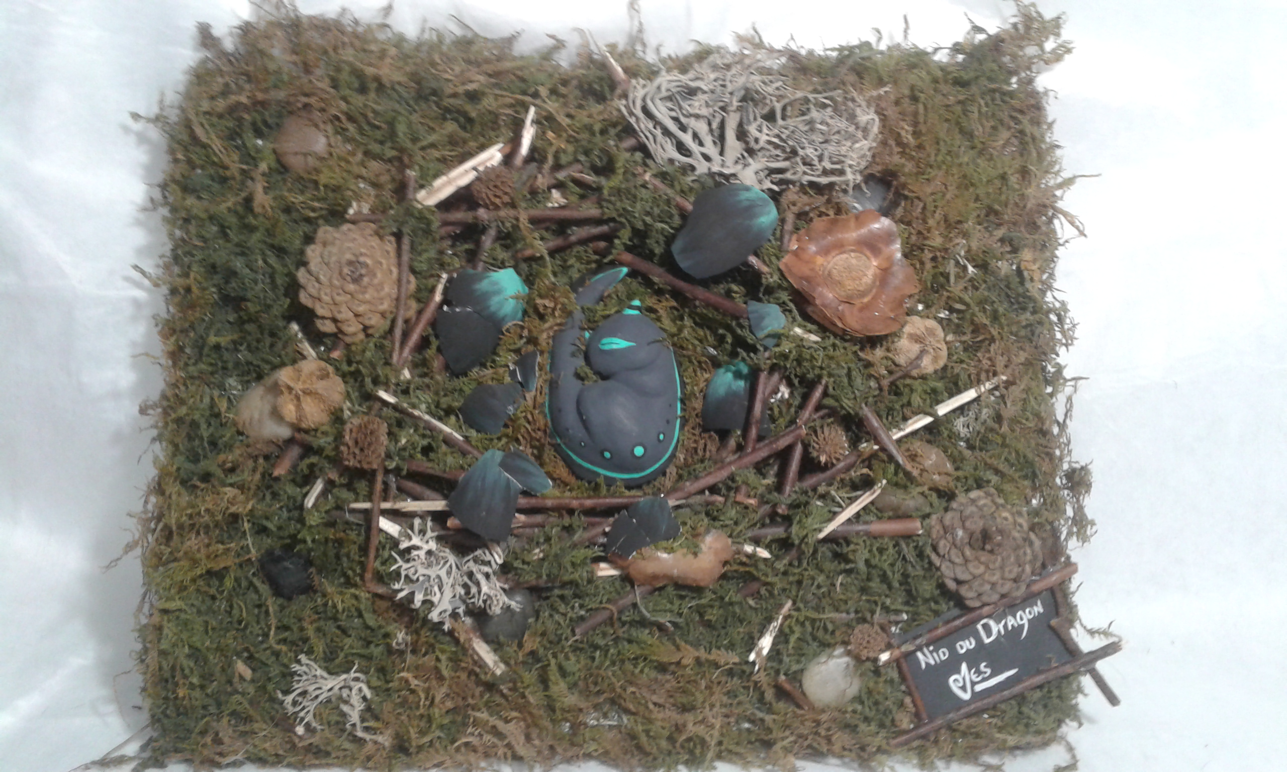 2018 12 03 nid du dragon reparer