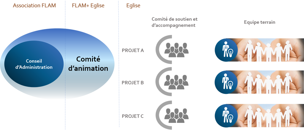 Schema d organisation