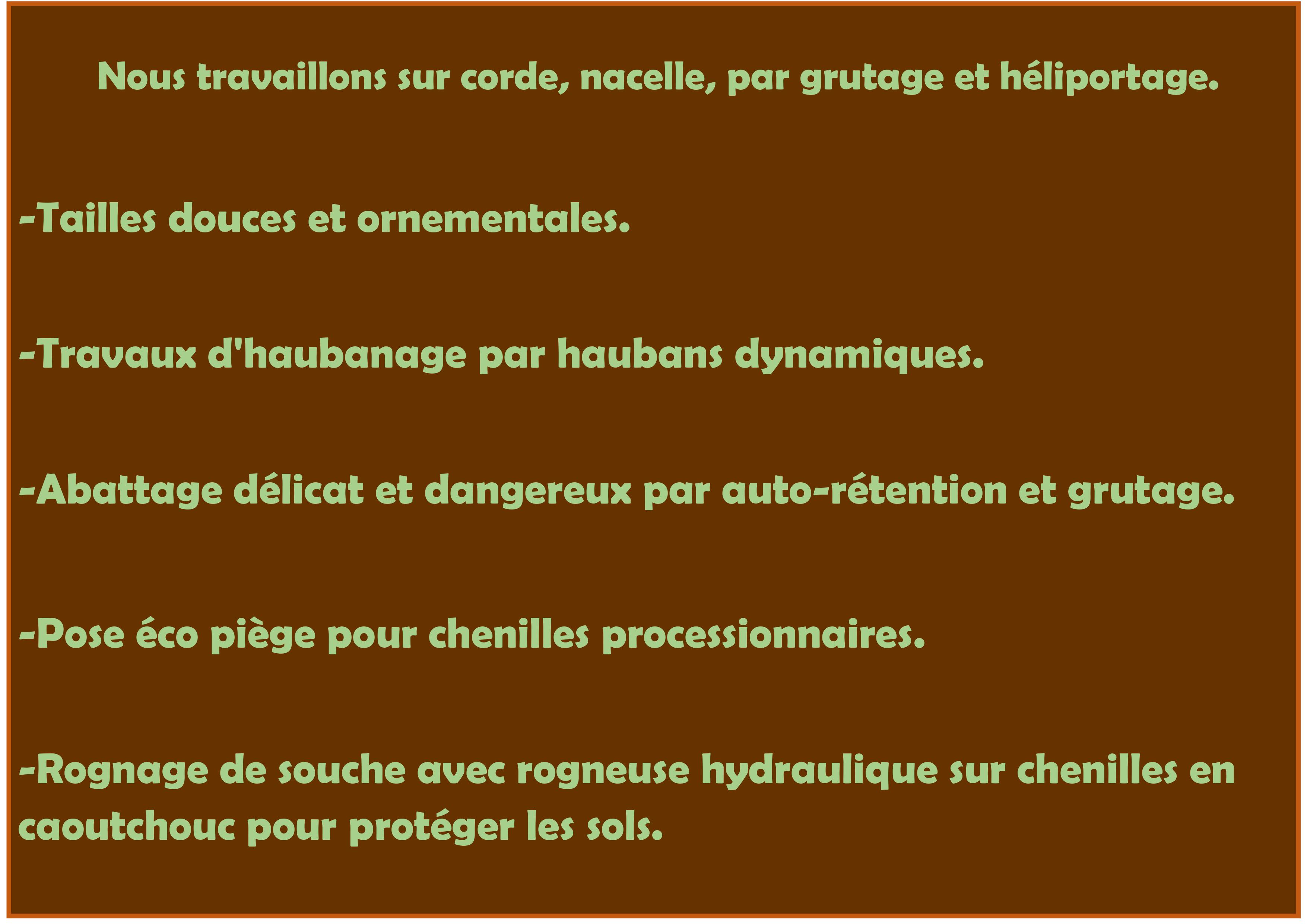 Elagage abattage