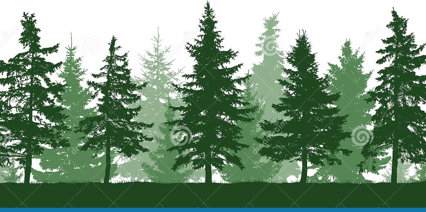 Silhouette sans couture de sapins foret 133078714