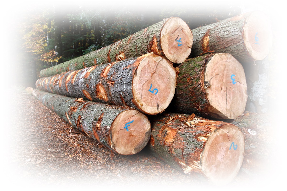 Grume
