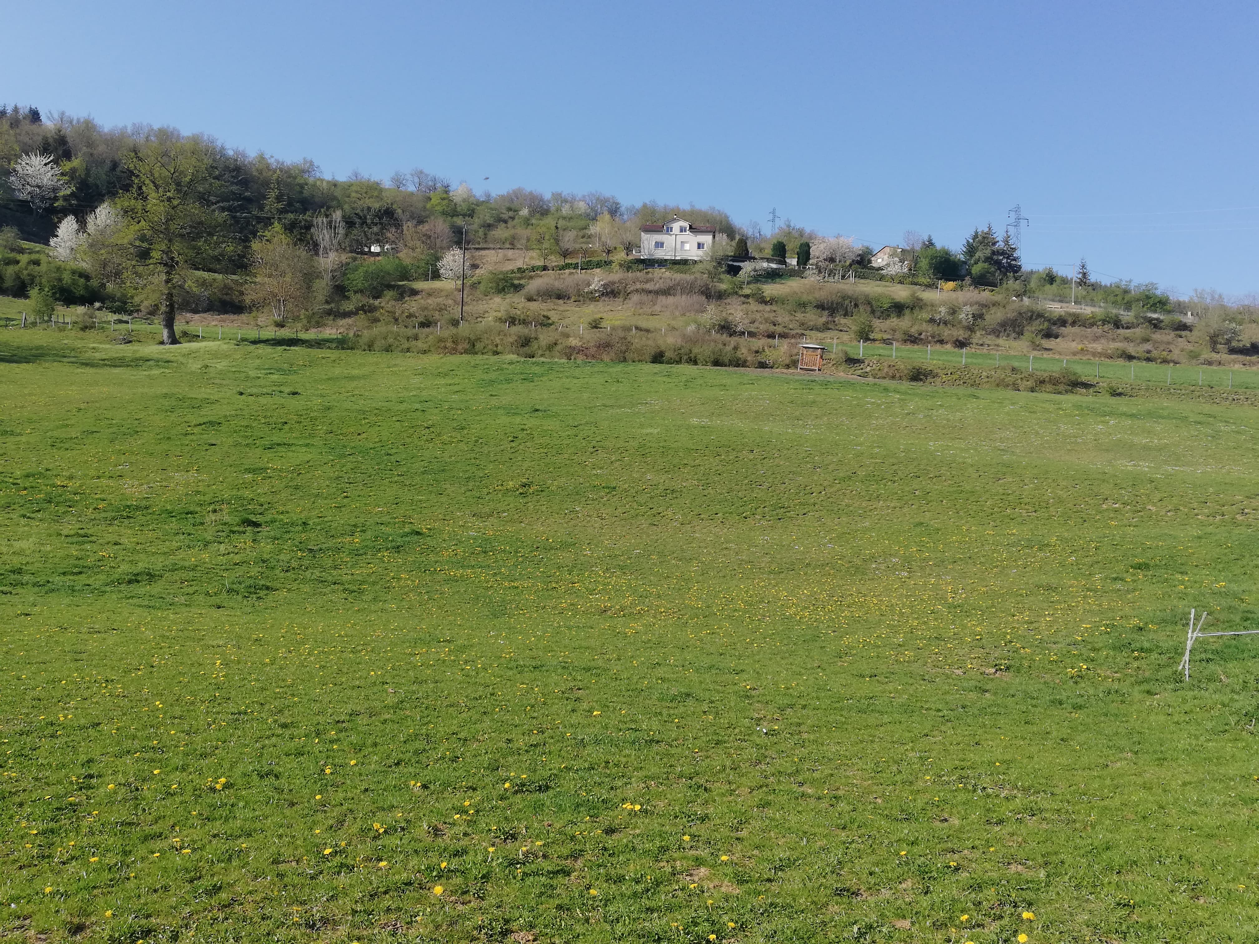 93060885 323582575284296 2982328992880656384 n