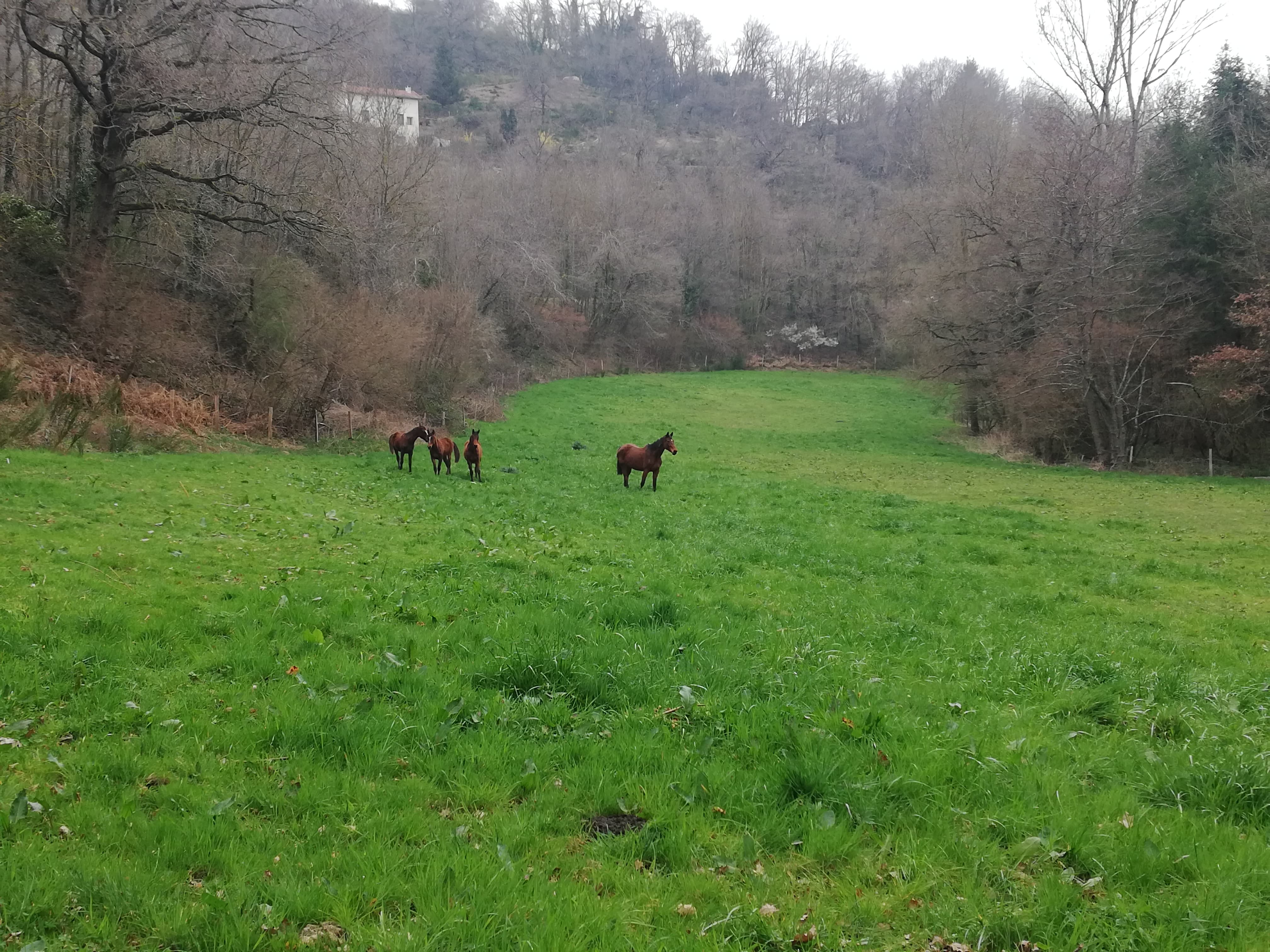 90703051 568837823734192 7911938695400259584 n 1 