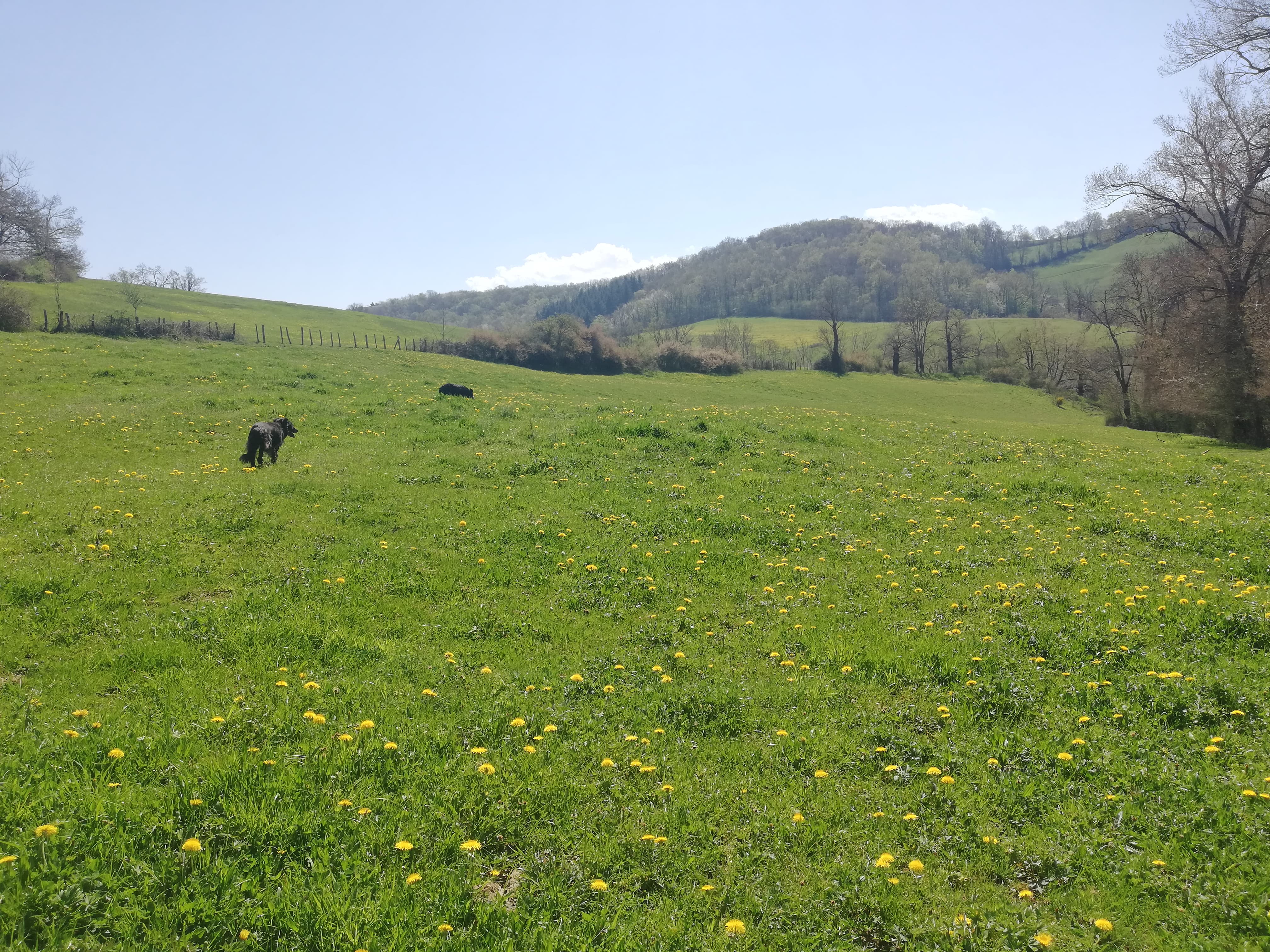 92861225 274819313518484 234541833252765696 n