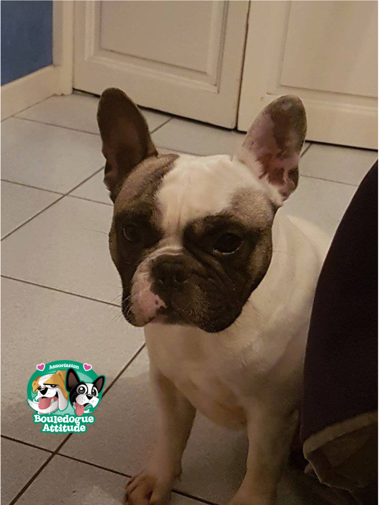 Yoda