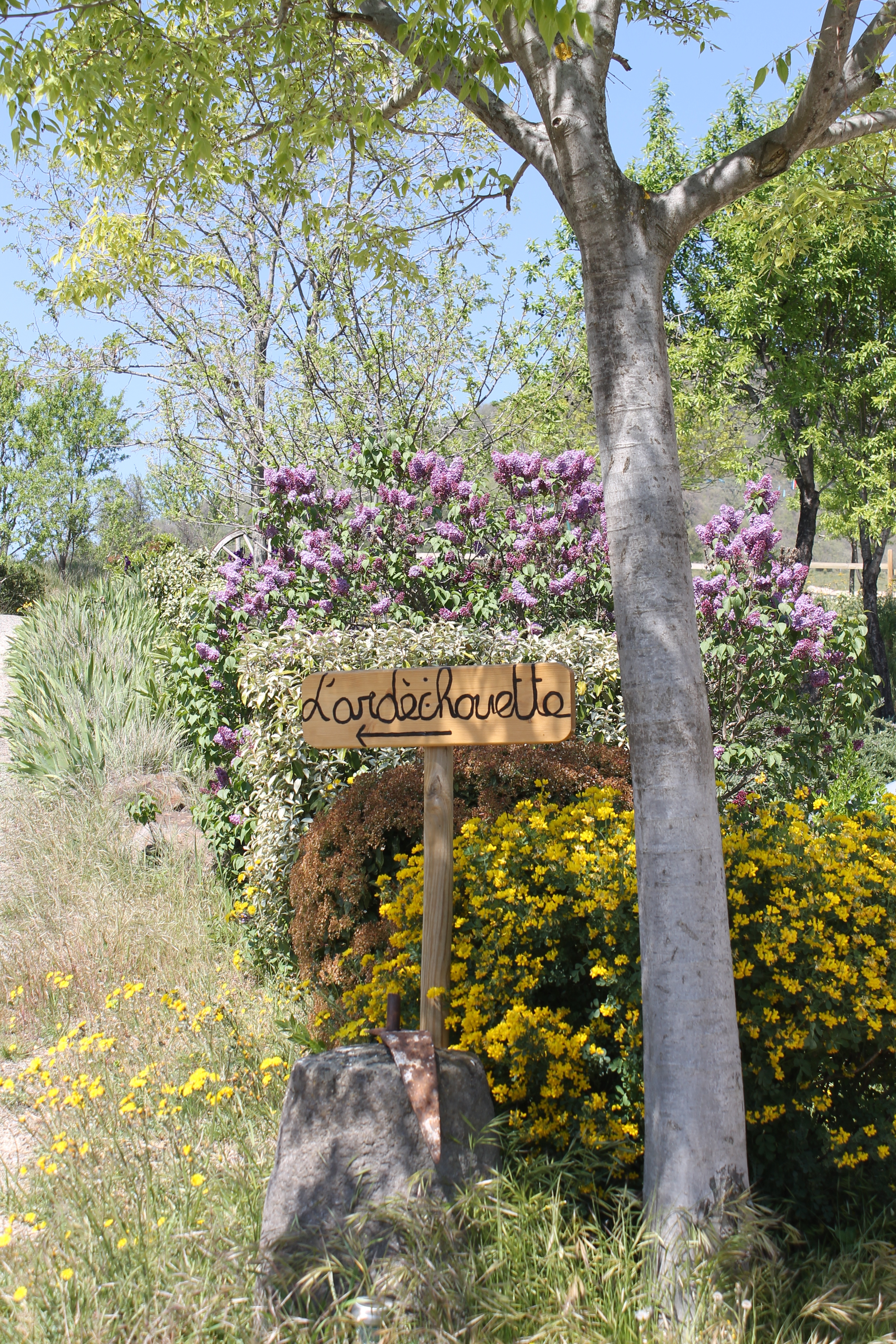 Gîte et Piscine L'ardèchouette (07)