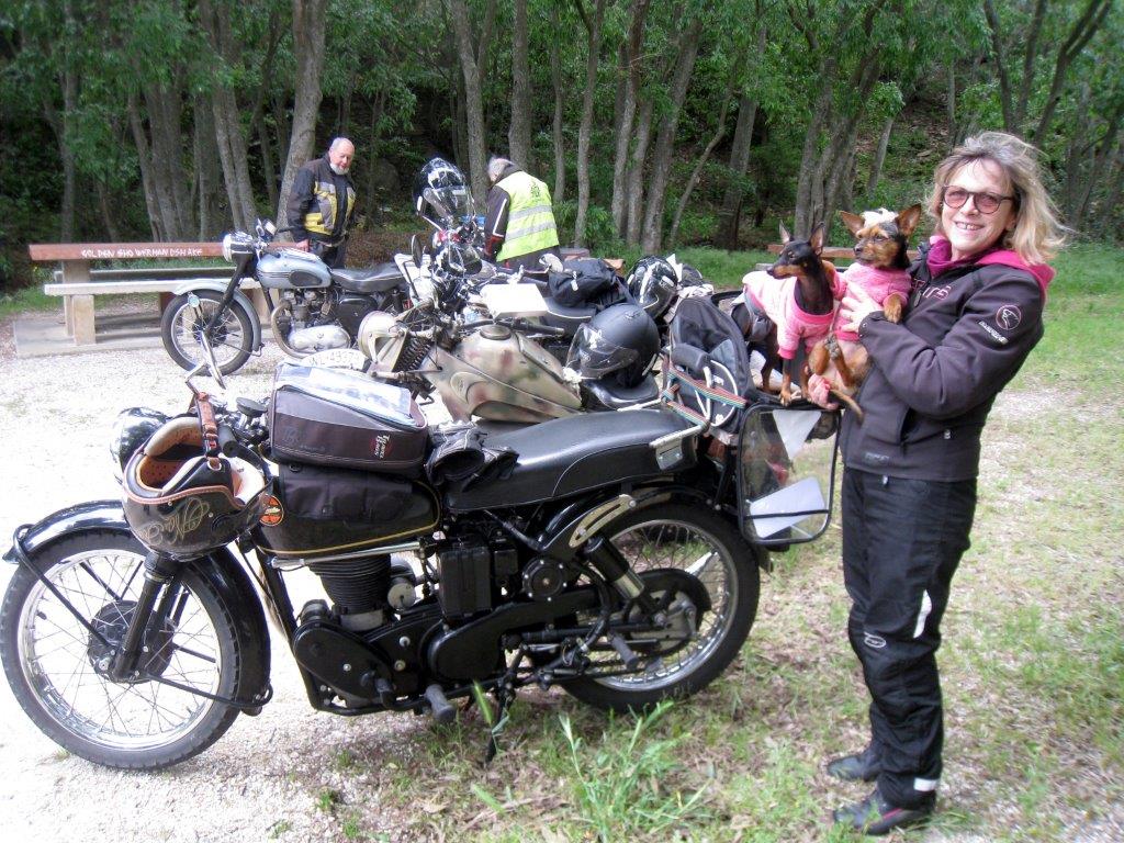 Me palermo et ses chiens velocette