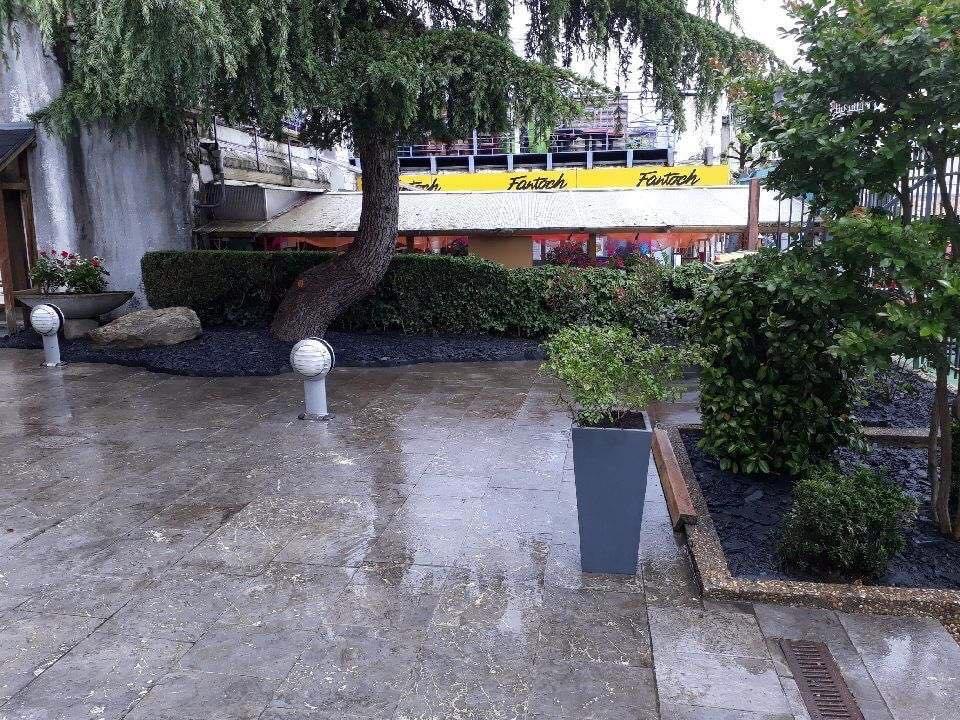 Img 7657