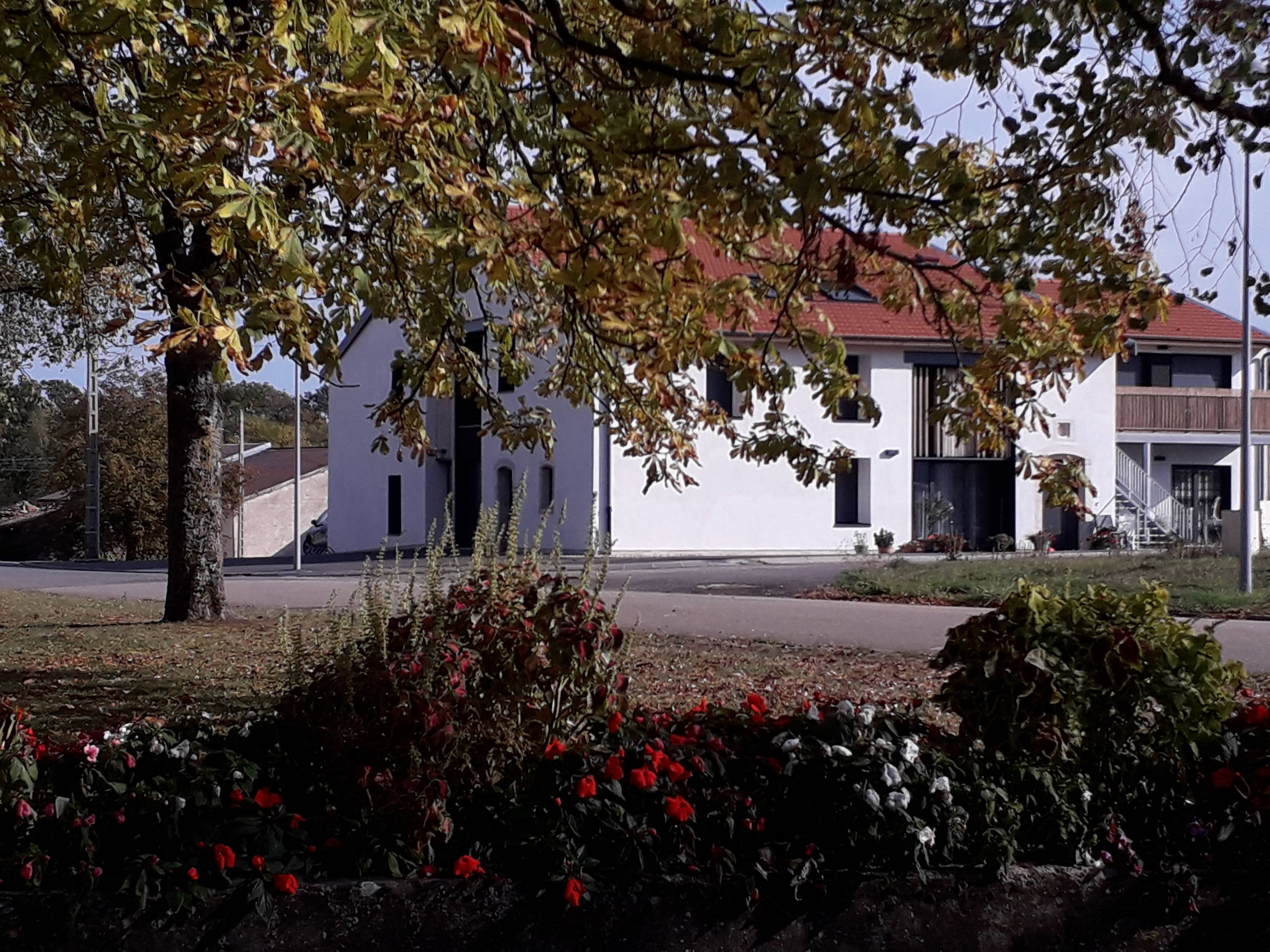 20181006 155447