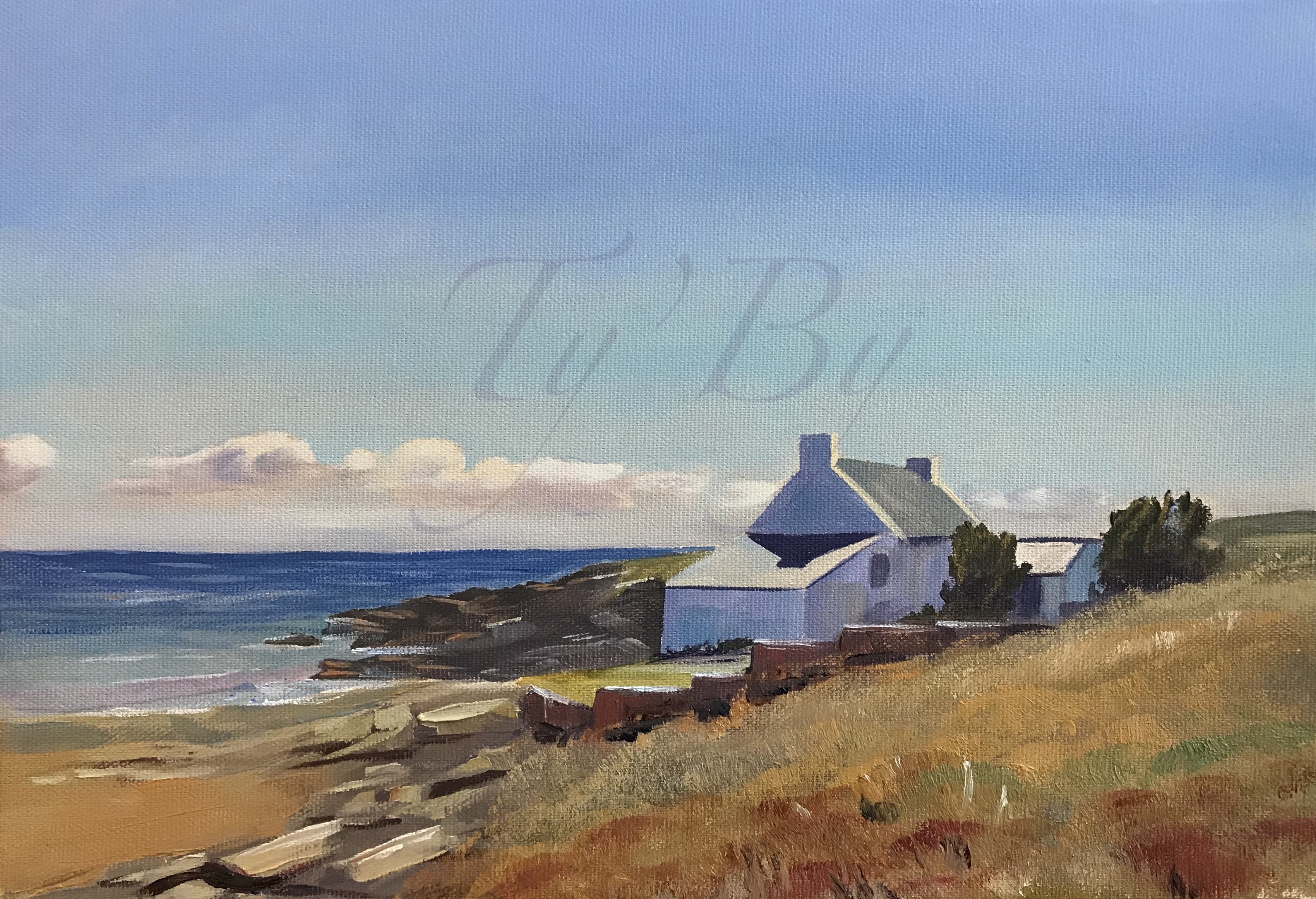 Ty by peintre quiberon 12