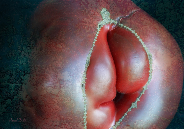 Le bijoux