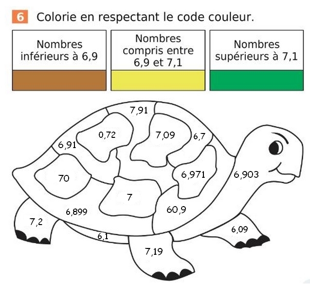 Tortue