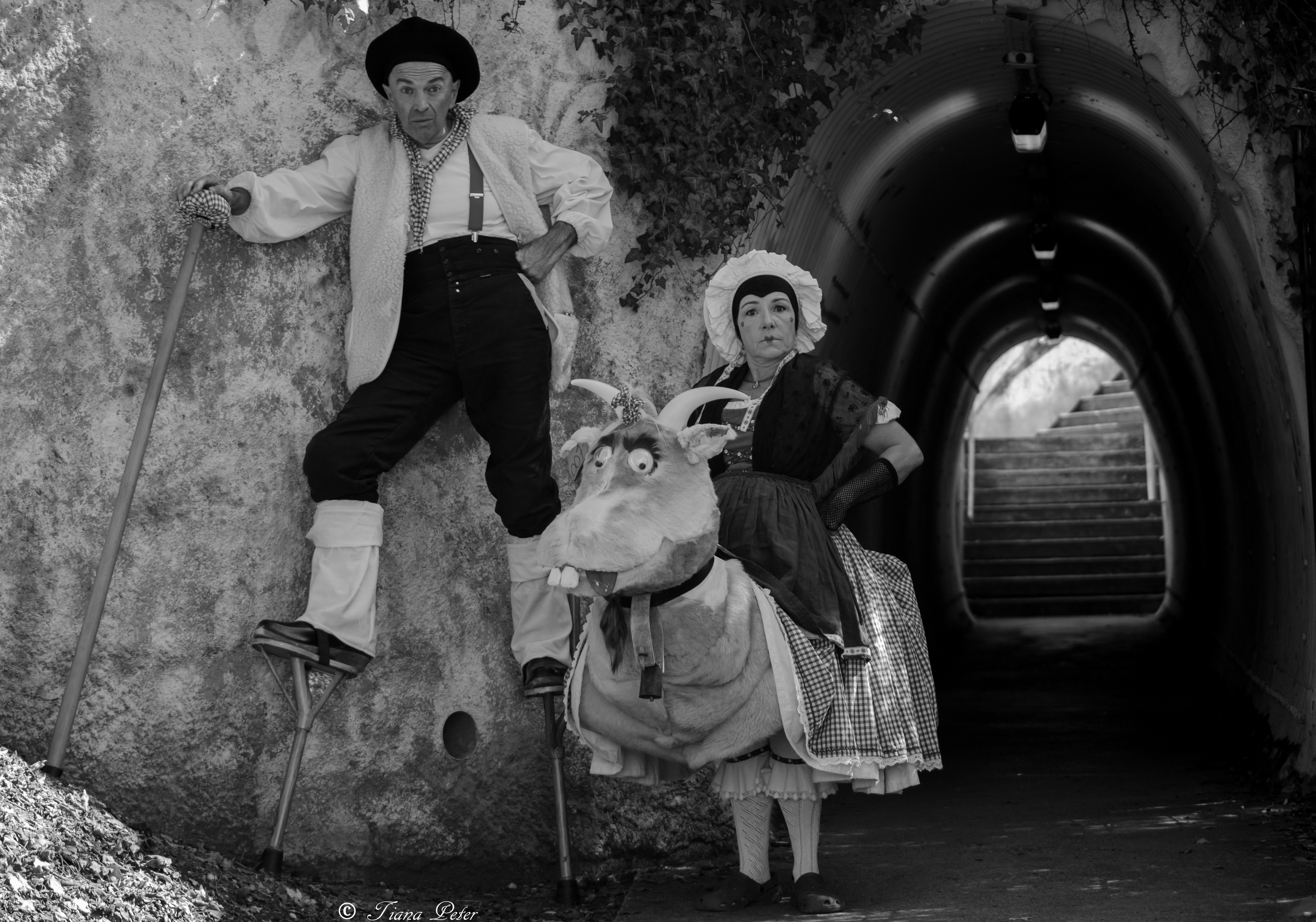 Trio des Alpes N B 3 1 
