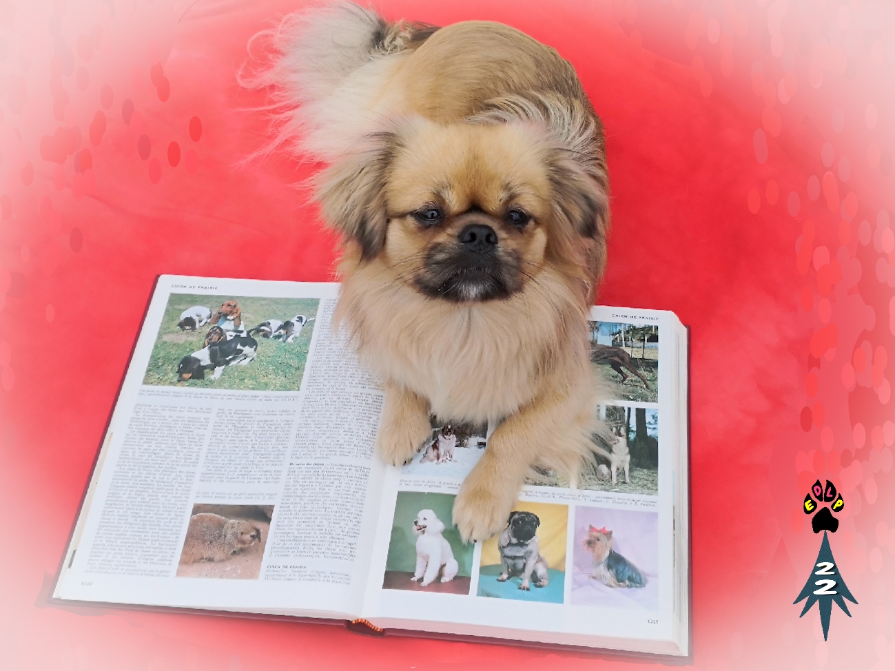 Edlp brretagne livre d or