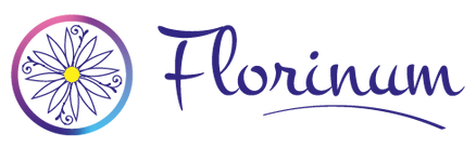 florinum,plantes médicinales,eaux florales,hydrolats,plouguerneau,finistère,bretagne 14