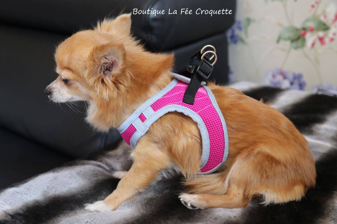 56349199 924533364580283 7416405791357272064 o 1 