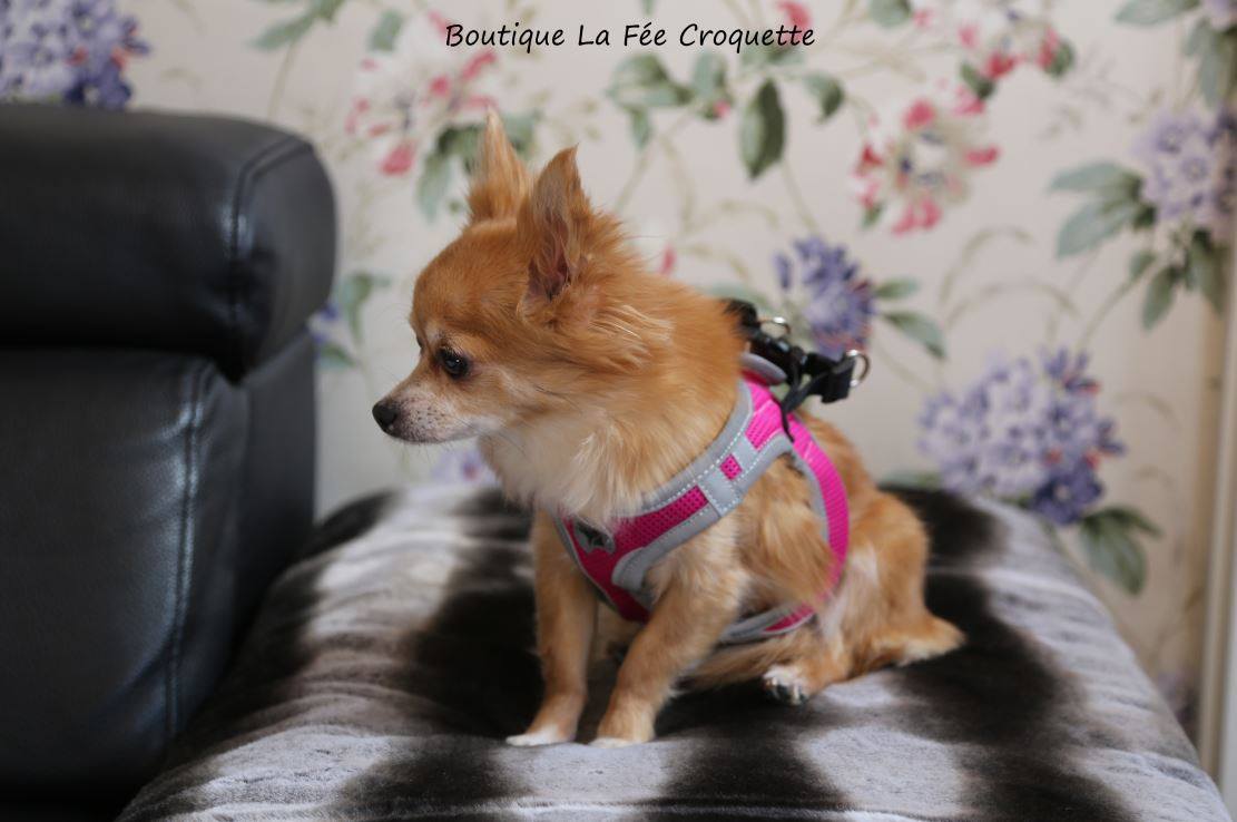 56289364 924533347913618 3509160521905471488 o 1 