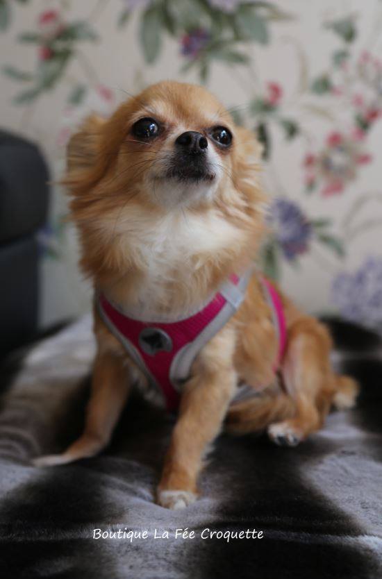 56328707 924533337913619 5171350472191115264 n 1 