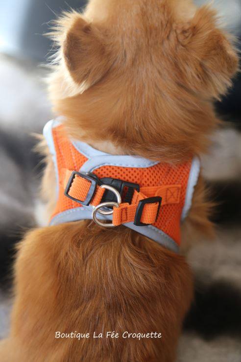 56323733 924533587913594 7580183507217940480 n 1 