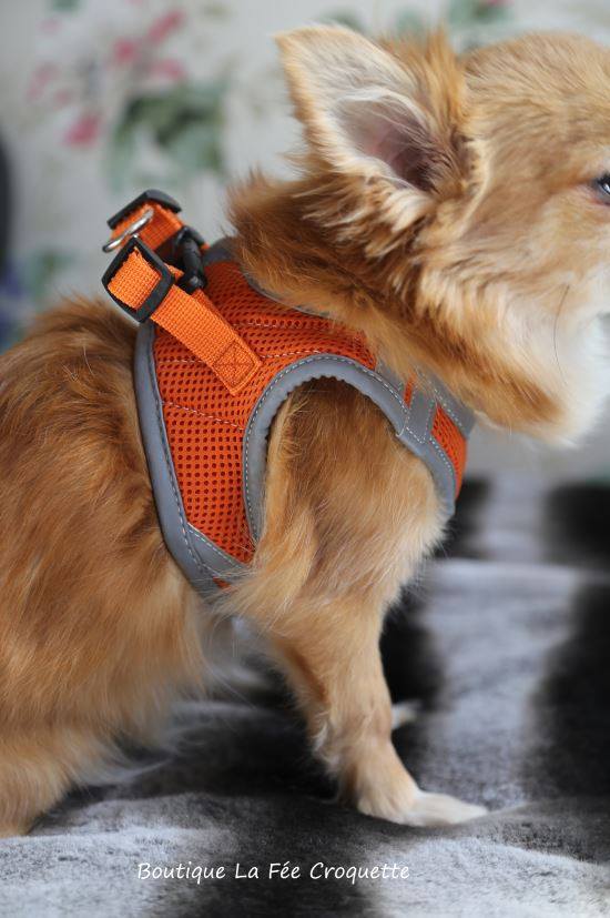 56286706 924533487913604 7776288952289329152 n 1 