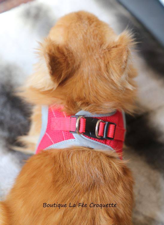 56161714 924533494580270 6776612688257613824 n 1 