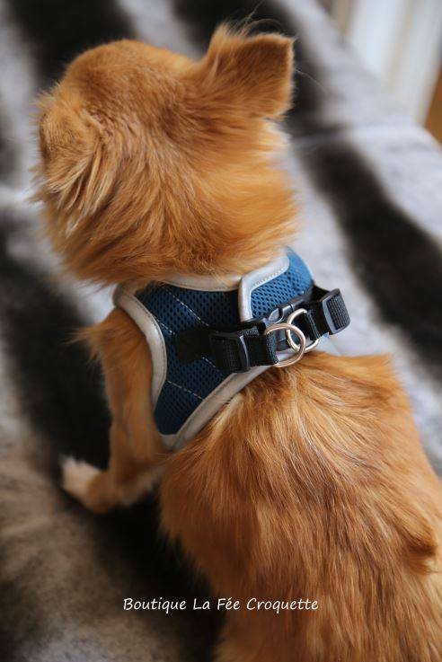 56209372 924533407913612 7860737960767913984 n 1 