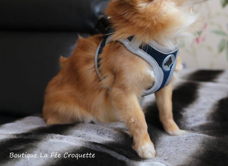 56575895 924533397913613 6661823150331789312 n 1 