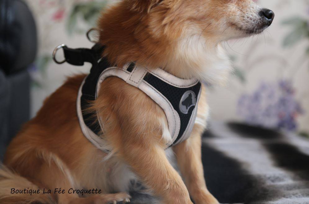 56242637 924533414580278 596778546068717568 o 1 