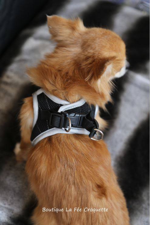 57038292 924533481246938 1065694803338985472 n 1 