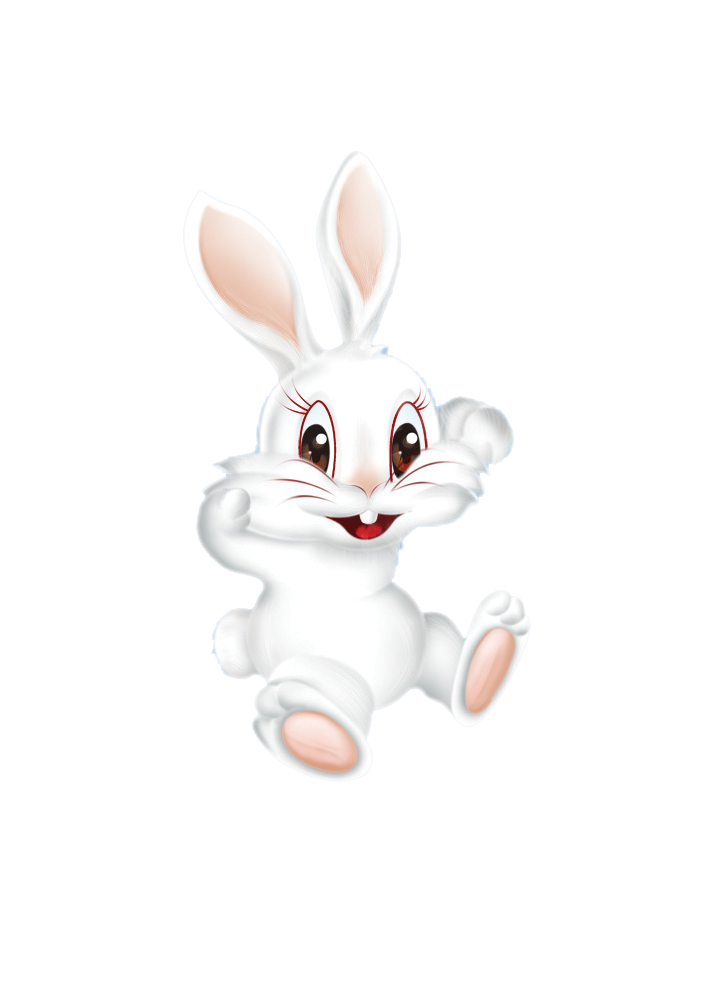 Le lapin de Kazam le magicien, des spectacles de magie réussis pour l'anniversaire de vos enfants.