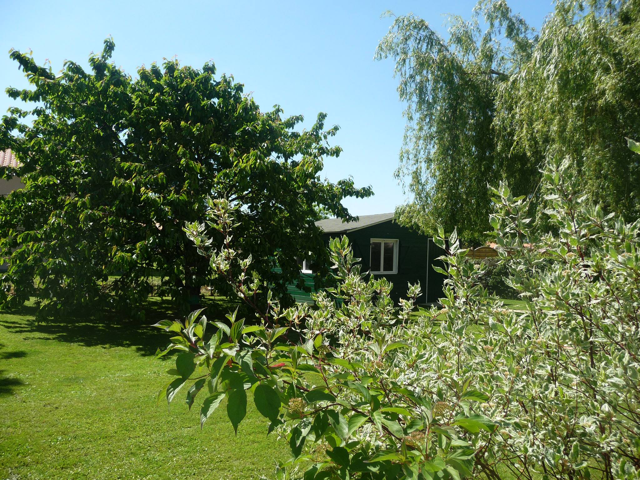 1009120 543313152371166 1095321821 o