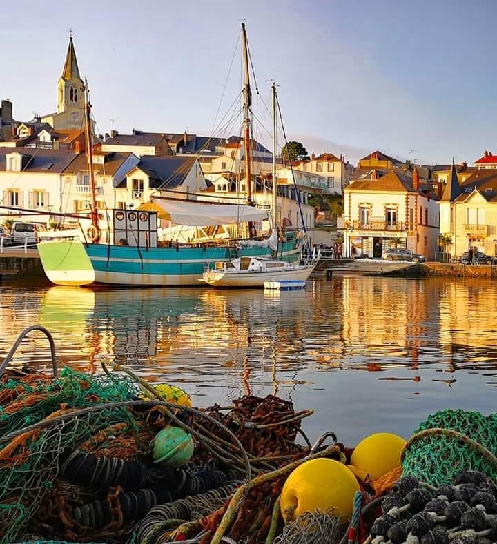 50080187 2045432482159218 3717289736511946752 n