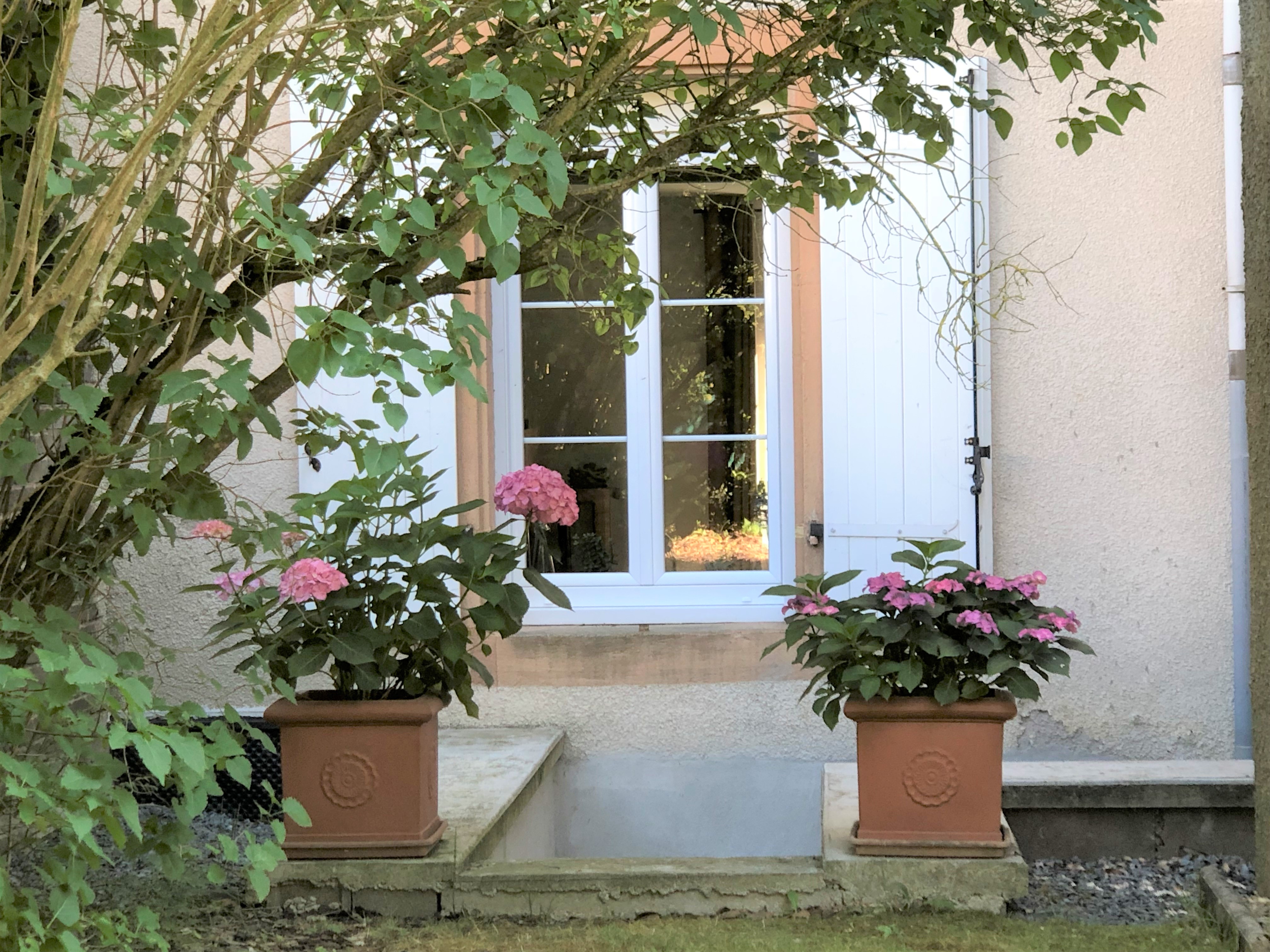 Img 4540
