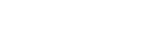 Vds racing logo blanc 01