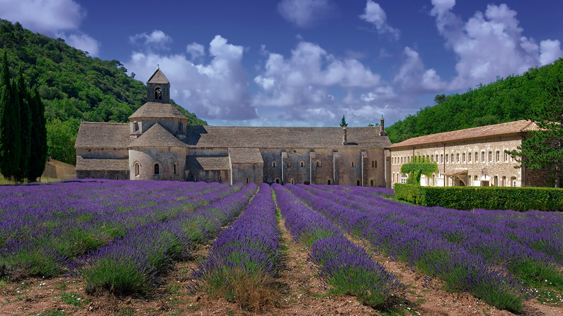 Gordes 1 Abbaye de Senanque